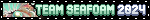 team seafoam 2025
